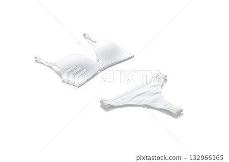 Blank white lingerie complect with bra and thong mockup, isolated Blank white lingerie complect with bra and thong mockup, isolated 132966165