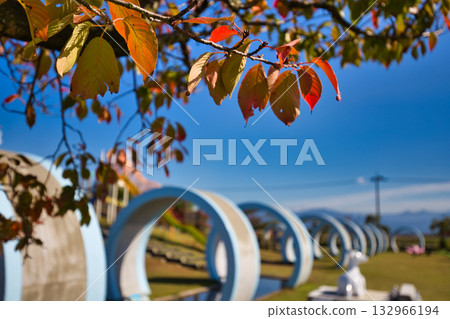 Yuri no Sato Park: Another Autumn Yuri no Sato Park: Another Autumn 132966194