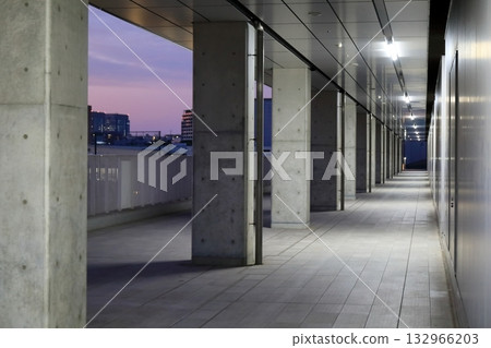 Consecutive exposed concrete pillars 132966203