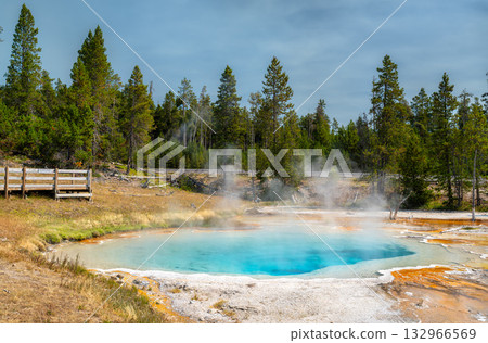 The vibrant blue Celestine Pool, a steaming hot spring in Yellowstone National Park. Orange mineral deposits border the water, with a forest and boardwalk in the background 132966569