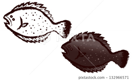 比目魚 132966571