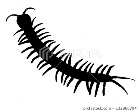 Centipede (silhouette) Centipede (silhouette) 132966794