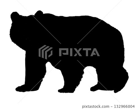 Bear (silhouette) 132966804