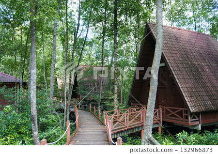 A walk through the forest with several huts A walk through the forest with several huts 132966873