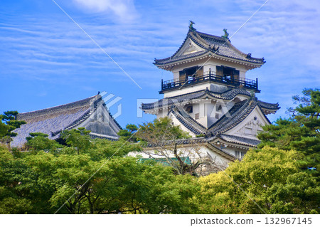 高知城及城樓(高知縣高知市) 高知城及城樓(高知縣高知市) 132967145