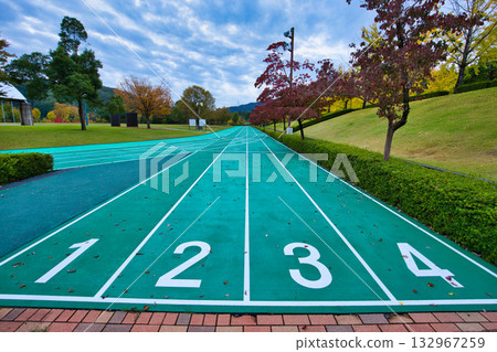 Ginkgo Tree Line - Autumn at Fukui Health Forest 132967259