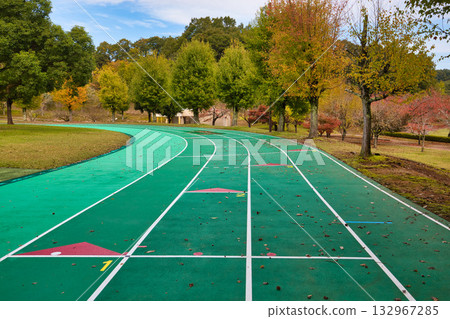 Ginkgo Tree Line - Autumn at Fukui Health Forest Ginkgo Tree Line - Autumn at Fukui Health Forest 132967285