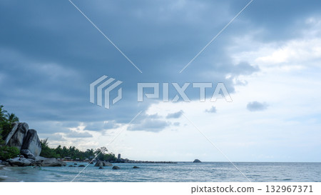 Close-up of Dry Tropical Tree Branch and Small Leaves Against Clear Blue Sky 132967371
