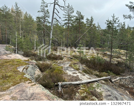 Rocky outcrops in Nuuksio National Park, Finland 132967471