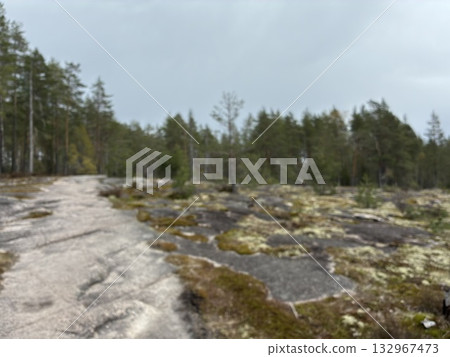 Rocky outcrops in Nuuksio National Park, Finland 132967473