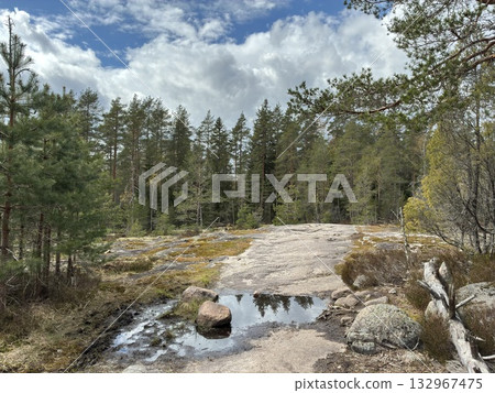 Rocky outcrops in Nuuksio National Park, Finland 132967475