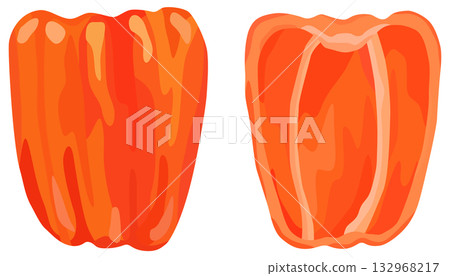 紅辣椒插圖橫截面向量圖 紅辣椒插圖橫截面向量圖 132968217