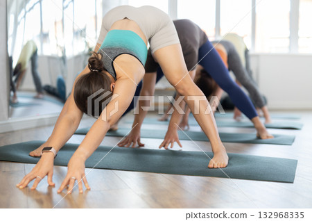 Women and men practicing downward dog pose of yoga during fitness classes 132968335