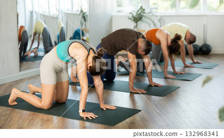 Group yoga class in gym - men and women meditate in Ashtanga Namaskarasana pose Group yoga class in gym - men and women meditate in Ashtanga Namaskarasana pose 132968341