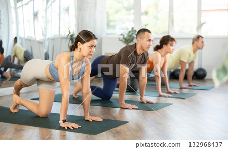 Women and men pushing up and being on hands and feet with straight body while practicing Plank Pose or Makara Adho Mukha in fitness center Women and men pushing up and being on hands and feet with straight body while practicing Plank Pose or Makara Adho Mukha in fitness center 132968437