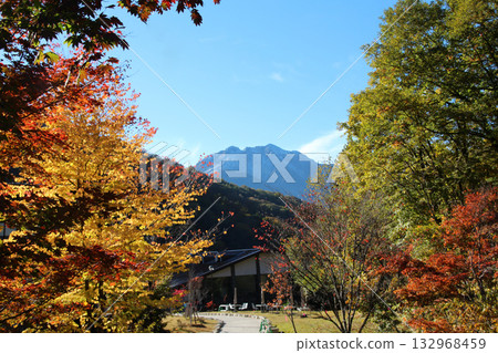 新穗高索道白葉平站附近的秋葉 132968459