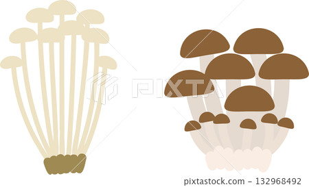 金針菇和白玉菇的插圖素材 132968492