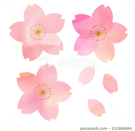 櫻花 櫻花 132968664