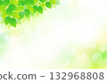 鮮嫩的綠葉和清爽閃亮的背景插圖（左上） 132968808