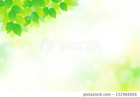 鮮嫩的綠葉和清爽閃亮的背景插圖(左上) 鮮嫩的綠葉和清爽閃亮的背景插圖(左上) 132968808