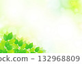 左下角是新鮮的綠葉和清爽閃亮的背景插圖材料。 132968809