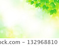 右上角是新鮮的綠葉和清爽閃亮的背景插圖材料。 132968810