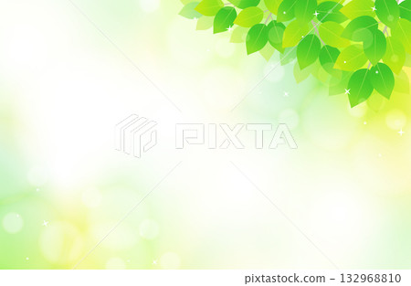 右上角是新鮮的綠葉和清爽閃亮的背景插圖材料。 132968810