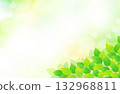 右下角是新鮮的綠葉和清爽閃亮的背景插畫。 132968811