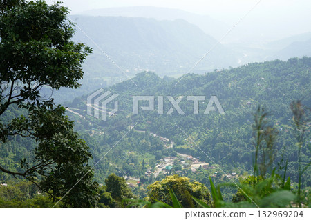 Himalayan Foothills Scenery Tea Plantation and Mountain Road Himalayan Foothills Scenery Tea Plantation and Mountain Road 132969204
