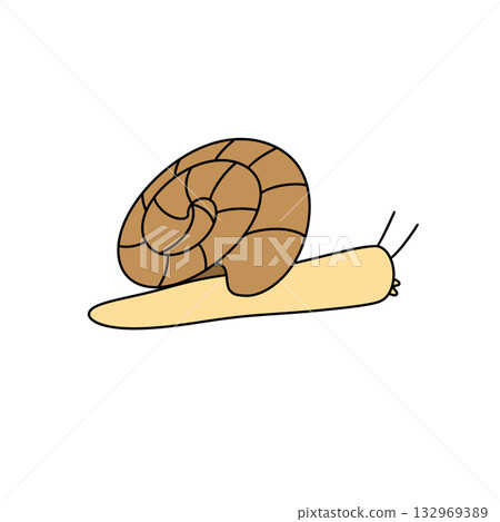 A cartoonish drawing of a snail with a spiral shell 132969389