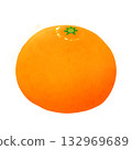 Realistic orange illustration 132969689