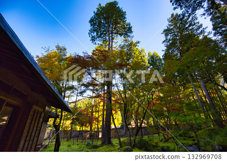 An old house and garden surrounded by autumn leaves and silence 132969708