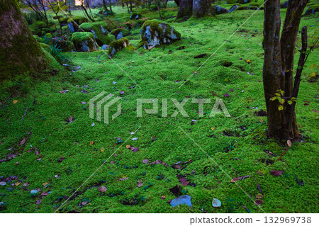 An old house and garden surrounded by autumn leaves and silence 132969738