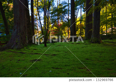 An old house and garden surrounded by autumn leaves and silence An old house and garden surrounded by autumn leaves and silence 132969766