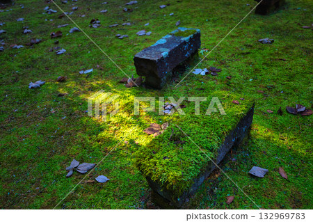 An old house and garden surrounded by autumn leaves and silence 132969783