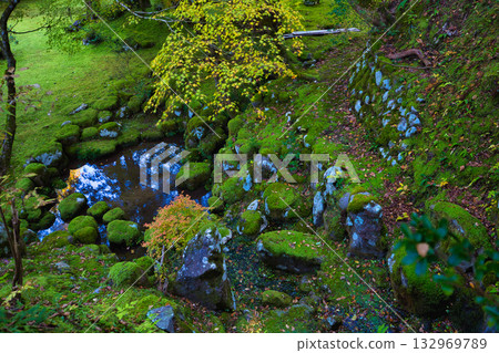 An old house and garden surrounded by autumn leaves and silence An old house and garden surrounded by autumn leaves and silence 132969789