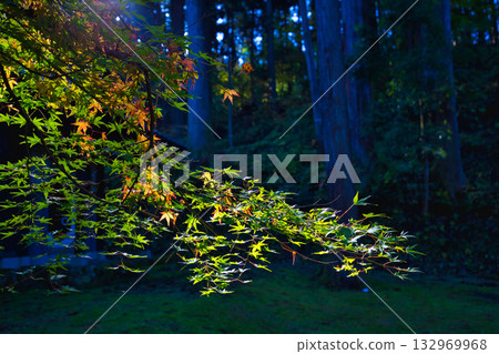 An old house and garden surrounded by autumn leaves and silence An old house and garden surrounded by autumn leaves and silence 132969968
