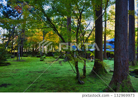 An old house and garden surrounded by autumn leaves and silence 132969973