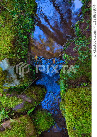 An old house and garden surrounded by autumn leaves and silence An old house and garden surrounded by autumn leaves and silence 132969974