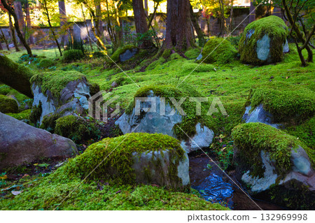 An old house and garden surrounded by autumn leaves and silence An old house and garden surrounded by autumn leaves and silence 132969998