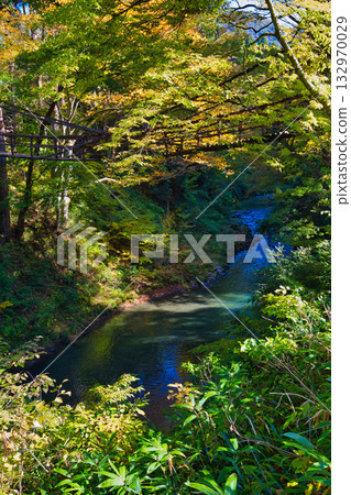 An old house and garden surrounded by autumn leaves and silence An old house and garden surrounded by autumn leaves and silence 132970029