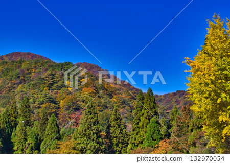 An old house and garden surrounded by autumn leaves and silence 132970054