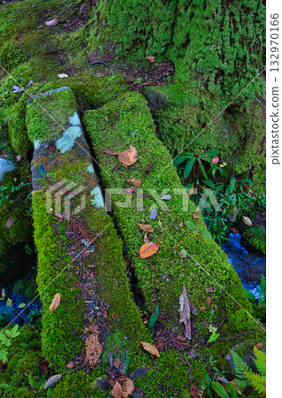 An old house and garden surrounded by autumn leaves and silence An old house and garden surrounded by autumn leaves and silence 132970166