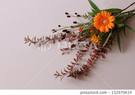 秋天的花朵 132970614