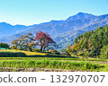 Autumn in Yatsugatake and cherry blossoms at Teidan 132970707