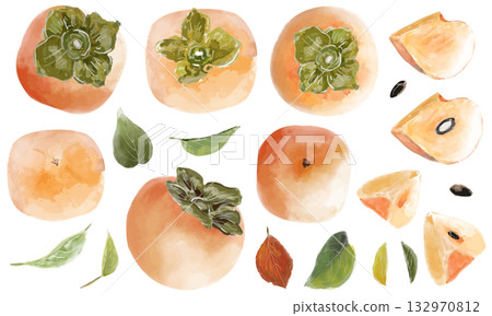 水彩風格手繪柿子各部分插圖集 132970812