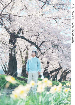 man tourist sightseeing Kitakami Tenshochi Park with Sakura Cherry Blossom in Spring, traveler travel in Kitakami festival, Iwate prefecture, Japan. Landmark for Travel and Vacation destination 132970917