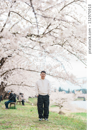 man tourist sightseeing Sakura Cherry Blossom in Spring. Happy traveler travel near Hinokinai River riverbank in Kakunodate town, Semboku District, Akita Prefecture, Japan. Landmark and Vacation 132970918