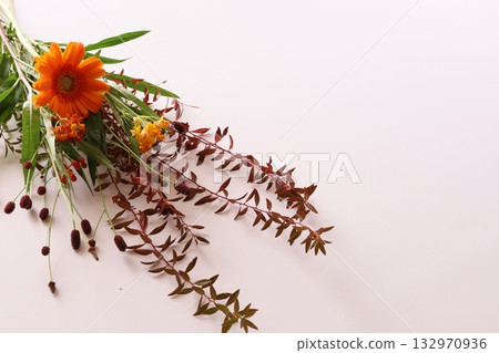 秋天的花朵 秋天的花朵 132970936