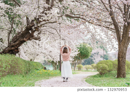 Woman tourist sightseeing Kajo Park Yamagata Castle Ruins with Sakura Cherry Blossom in Spring, happy traveler travel in Yamagata prefecture, Tohoku, Japan. famous Landmark for Travel and Vacation Woman tourist sightseeing Kajo Park Yamagata Castle Ruins with Sakura Cherry Blossom in Spring, happy traveler travel in Yamagata prefecture, Tohoku, Japan. famous Landmark for Travel and Vacation 132970953